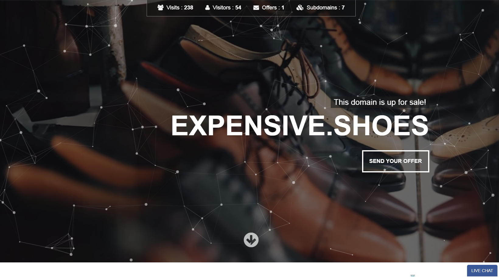 expensive.shoes landing page