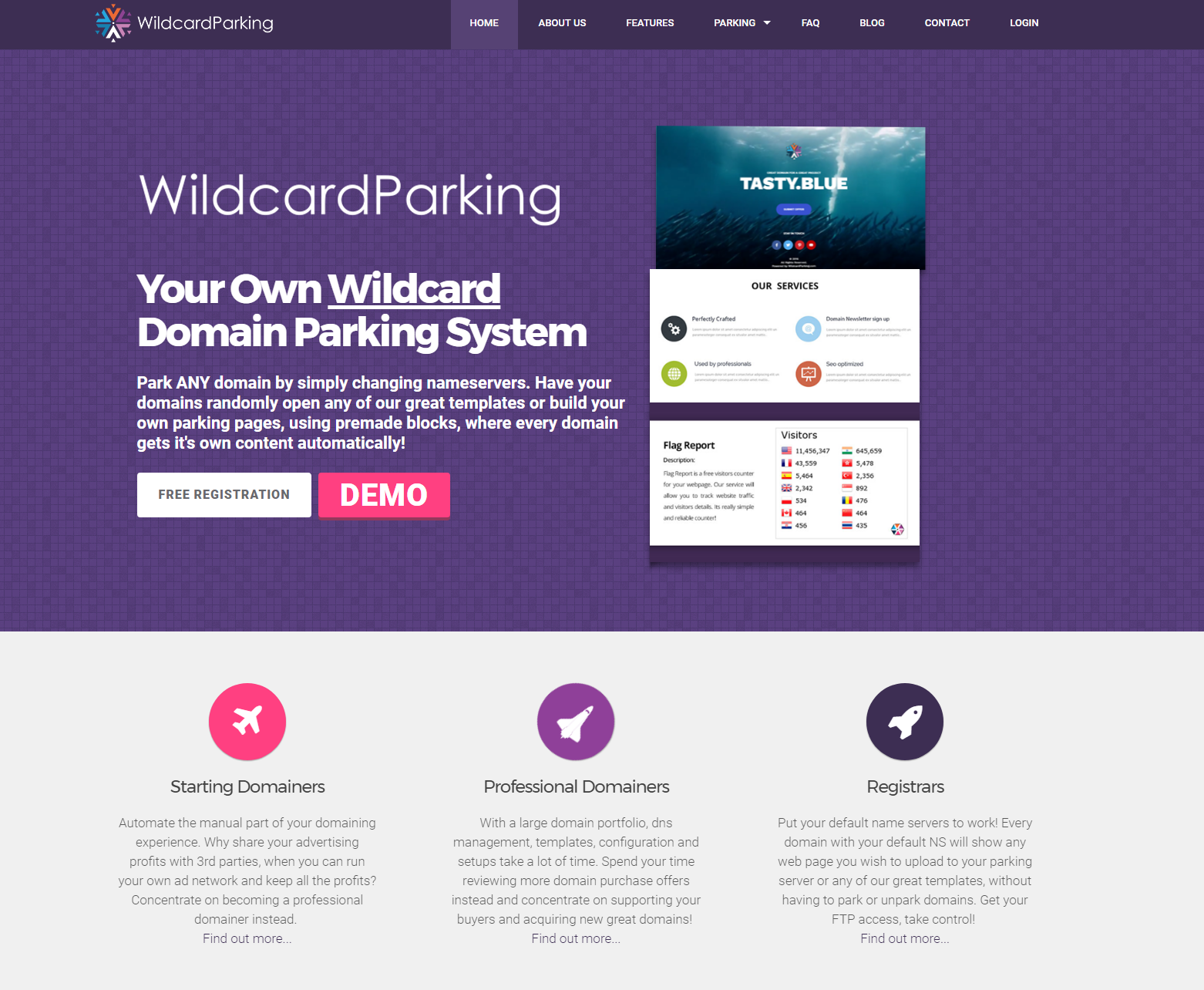 wildcard parking landing page