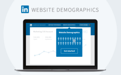 LinkedIn Website Demographics [Coming Soon]