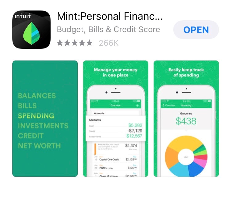 app domain name mint