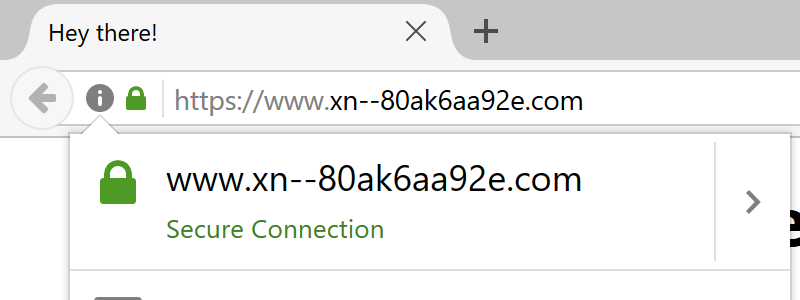 Domain Spoofing Apple.com IDN