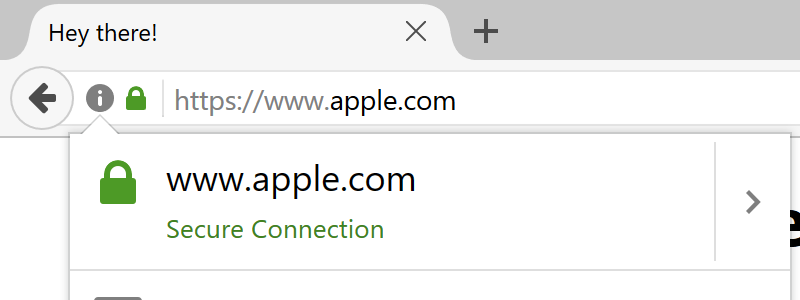 Domain Spoofing Apple.com