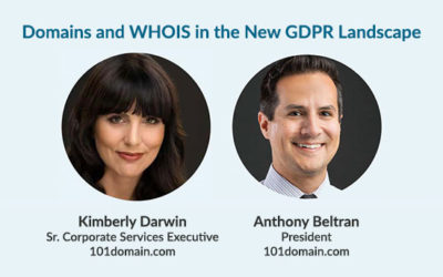 Domains and WHOIS in the New GDPR Landscape