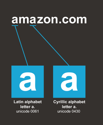 Amazon homograph attack domain example 