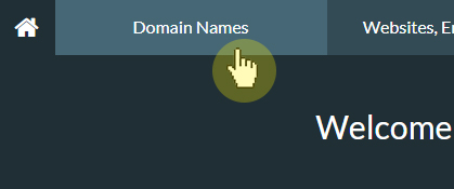 Domain Names tab