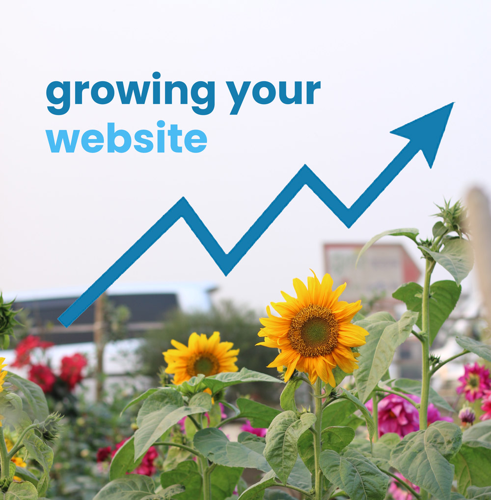 growing your website