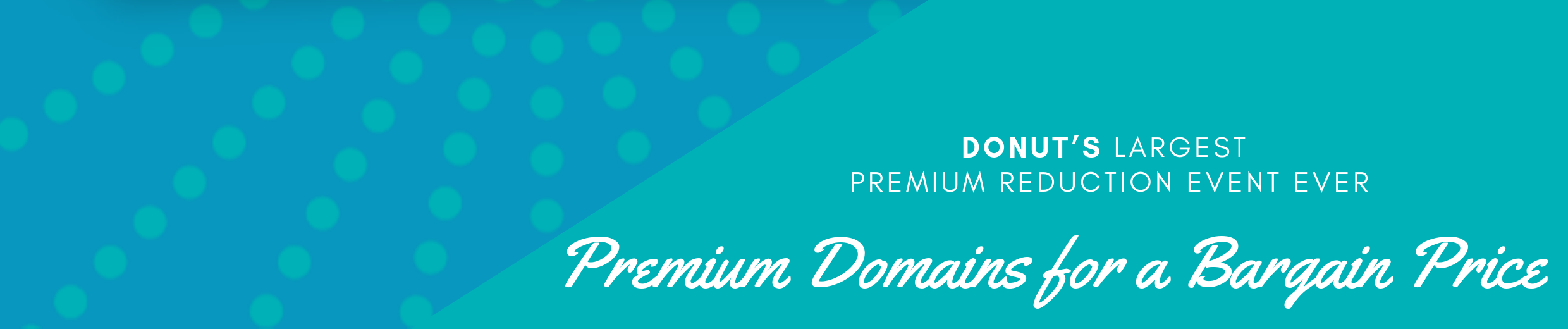 premium domains for a bargain price