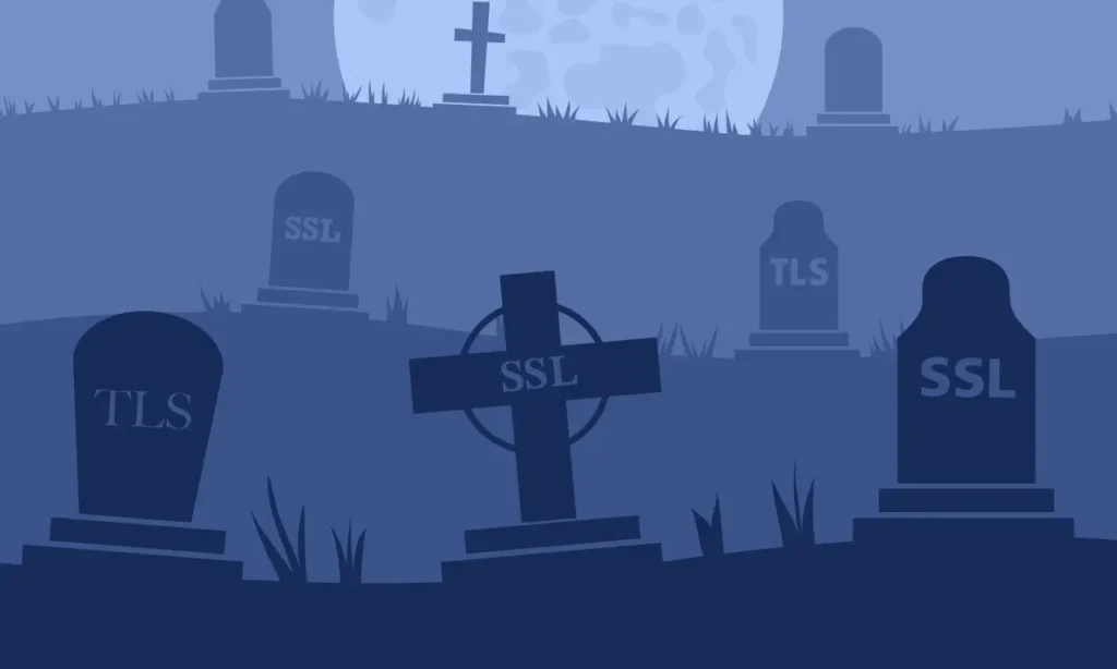 The SSL/TLS certificate graveyard: Subdomains that never die