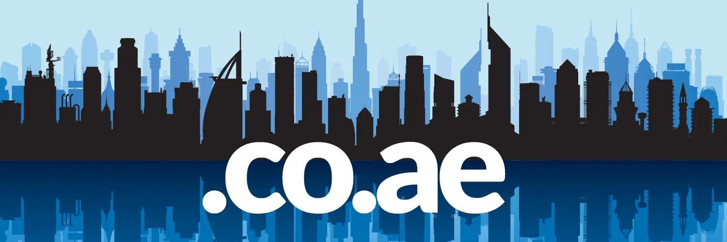 The .co.ae advantage: Why 101domain recommends a dual UAE domain strategy to protect your brand
