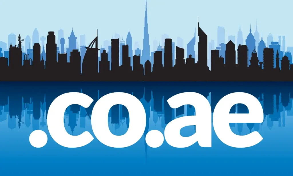 The .co.ae advantage: Why 101domain recommends a dual UAE domain strategy to protect your brand